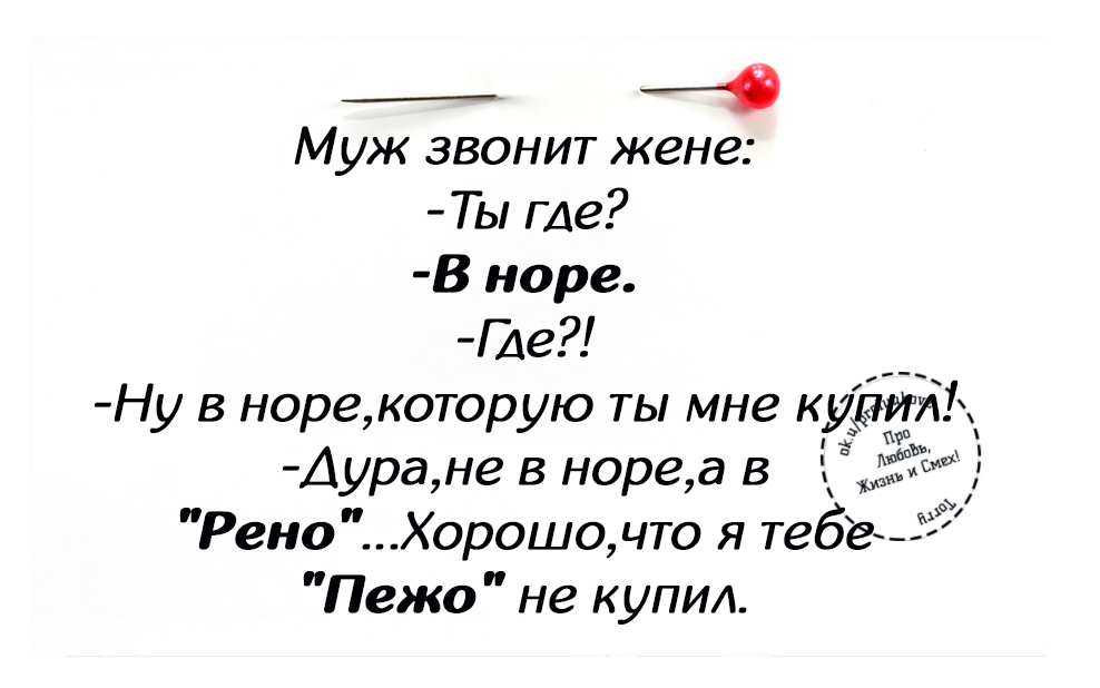 Жена не звонит и не пишет. Анекдоты со смыслом. Анекдот про нору. Ты где в норе анекдот. Дорогая ты где в норе анекдот.